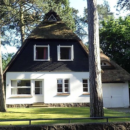 Ferienhaus Am Strandwaeldchen Niendorf  Eksteriør bilde